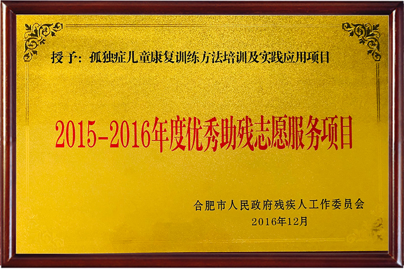 2015-2016年度優(yōu)秀助殘志愿服務(wù)項(xiàng)目